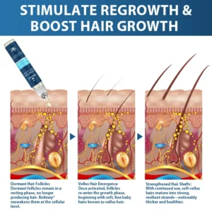 Rolimey® STEM Cell Hair Cycle Roller