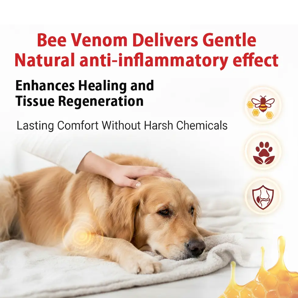 Rolimeyยฎ Purified ๐๐ฒ๐ฒ ๐ฉ๐ฒ๐ป๐ผ๐บ Peptide Powder for Pets ๐๐จ๐ข๐ง๐ญ ๐๐ฎ๐ฉ๐ฉ๐จ๐ซ๐ญ โ๏ธ