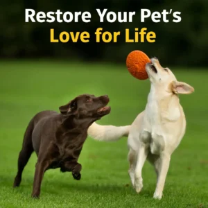 Rolimeyยฎ Purified ๐๐ฒ๐ฒ ๐ฉ๐ฒ๐ป๐ผ๐บ Peptide Powder for Pets ๐๐จ๐ข๐ง๐ญ ๐๐ฎ๐ฉ๐ฉ๐จ๐ซ๐ญ โ๏ธ