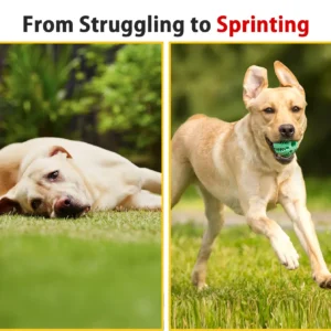 Rolimeyยฎ Purified ๐๐ฒ๐ฒ ๐ฉ๐ฒ๐ป๐ผ๐บ Peptide Powder for Pets ๐๐จ๐ข๐ง๐ญ ๐๐ฎ๐ฉ๐ฉ๐จ๐ซ๐ญ โ๏ธ