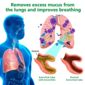 đđČđżđ°đČđźâą đ đđčđčđČđ¶đ» đđčđČđźđż đđđ»đŽ đ„đČđœđźđ¶đż đđżđČđźđș