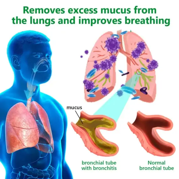 đđČđżđ°đČđźâą đ đđčđčđČđ¶đ» đđčđČđźđż đđđ»đŽ đ„đČđœđźđ¶đż đđżđČđźđș