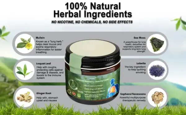 đđČđżđ°đČđźâą đ đđčđčđČđ¶đ» đđčđČđźđż đđđ»đŽ đ„đČđœđźđ¶đż đđżđČđźđș