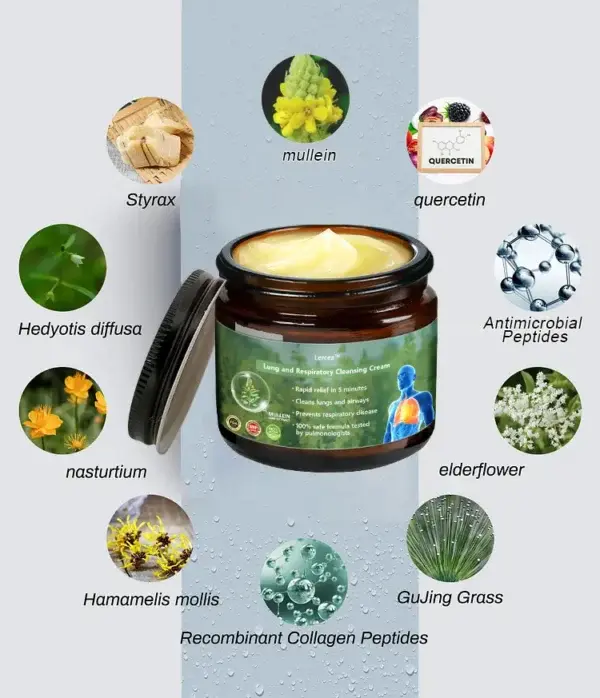 đđČđżđ°đČđźâą đ đđčđčđČđ¶đ» đđčđČđźđż đđđ»đŽ đ„đČđœđźđ¶đż đđżđČđźđș