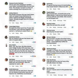 NESLEMY™ SPEEDY TAIL 2.0