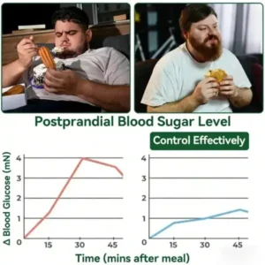 𝑷𝒖𝒓𝒆𝒍𝒐𝒓𝒂® Moringa · Berberine × NAD⁺ 10-in-1 Advanced Nano Microneedle Patch